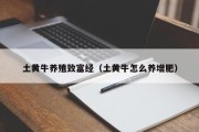 土黄牛养殖致富经（土黄牛怎么养增肥）