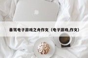 善驾电子游戏之舟作文（电子游戏,作文）