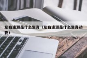 左右逢源是什么生肖（左右逢源是什么生肖动物）