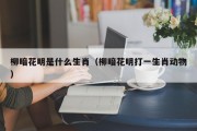 柳暗花明是什么生肖（柳暗花明打一生肖动物）