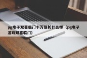 pg电子双喜临门十万倍长什么样（pg电子游戏双喜临门）