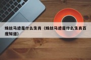 蛛丝马迹是什么生肖（蛛丝马迹是什么生肖百度知道）