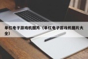 单杠电子游戏机图片（单杠电子游戏机图片大全）