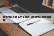 蔡徐坤玩儿什么电子游戏（蔡徐坤玩游戏机图片）