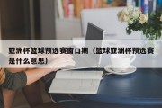 亚洲杯篮球预选赛窗口期（篮球亚洲杯预选赛是什么意思）