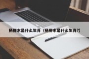 杨柳木是什么生肖（杨柳木是什么生肖?）