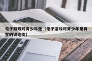 电子游戏对青少年是（电子游戏对青少年是有害的议论文）
